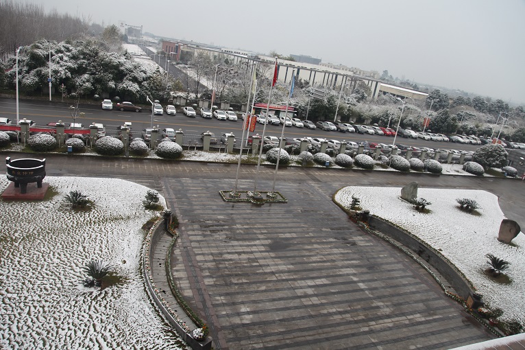 一場雪，才知道您有多美！